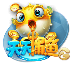 官方：布莱顿后卫埃兰